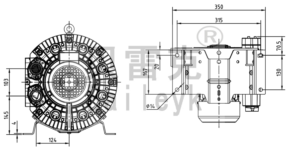 2RT-H4113BS技術(shù)參數(shù)